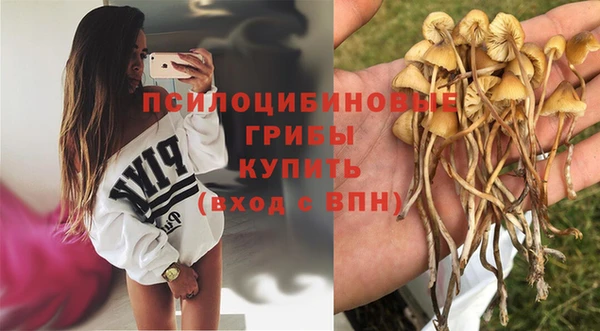 дурь Горняк