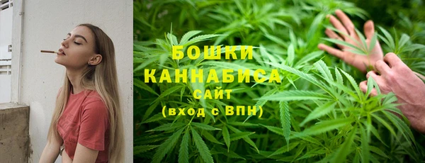трава Горно-Алтайск