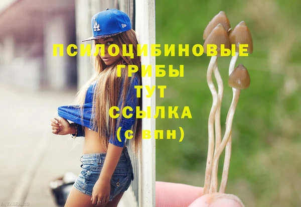 дурь Горняк
