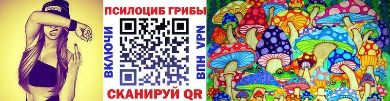 Галлюциногенные грибы Psilocybe mega ссылка Заволжск